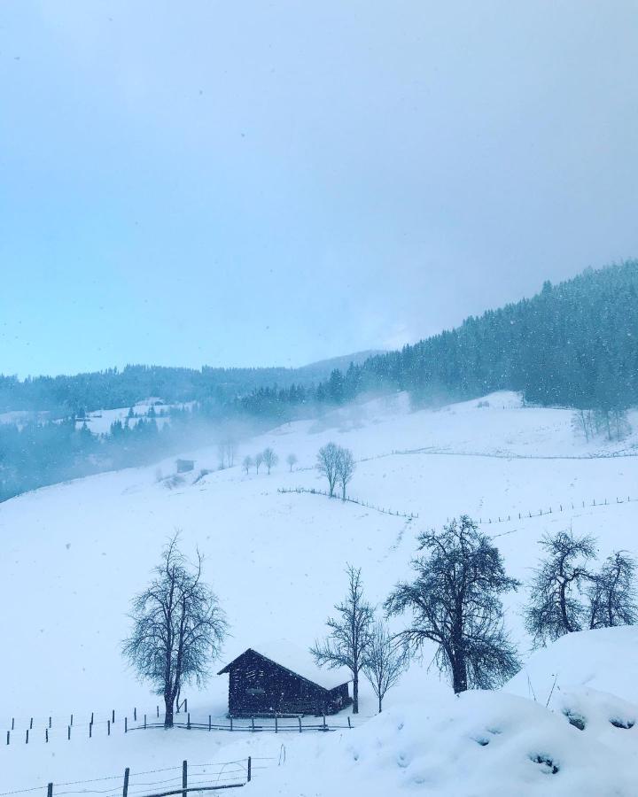 Bio Schartenhof Sankt Johann im Pongau Luaran gambar
