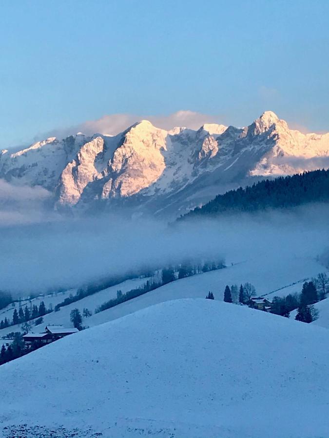 Bio Schartenhof Sankt Johann im Pongau Luaran gambar