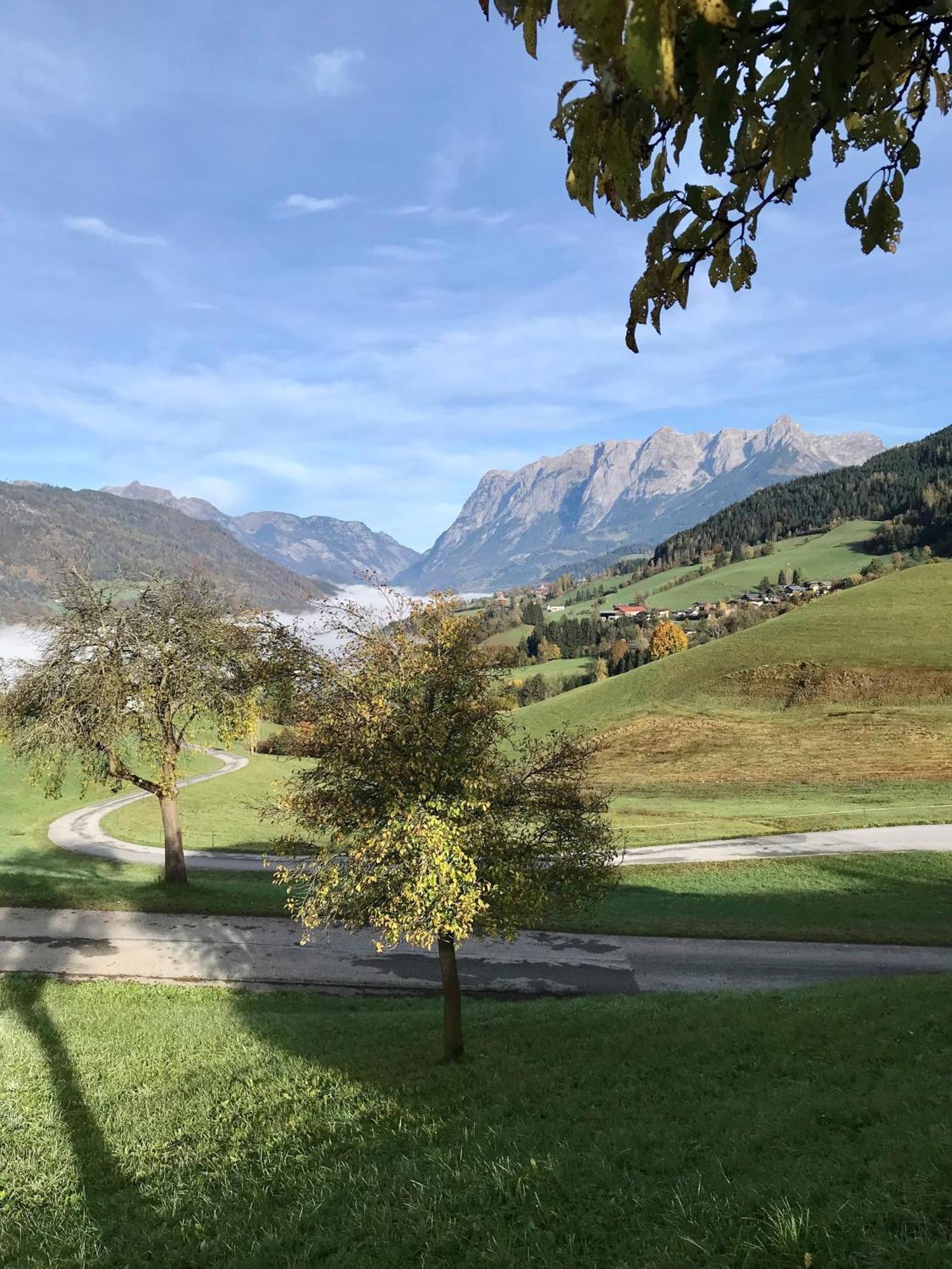 Bio Schartenhof Sankt Johann im Pongau Luaran gambar